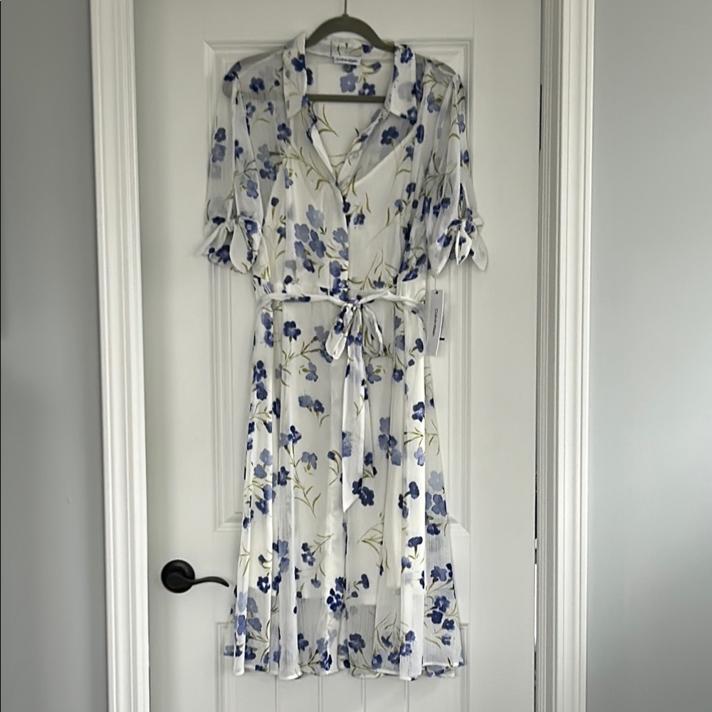 Floral White and Blue Dress